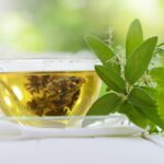 How To Green Tea For Weight Loss